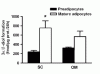 Why should you reduce your BF% before running an AAS cycle?-androbelly2.gif