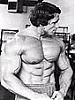 Steroids 101 book...by Jeff Summers-arnold.jpg