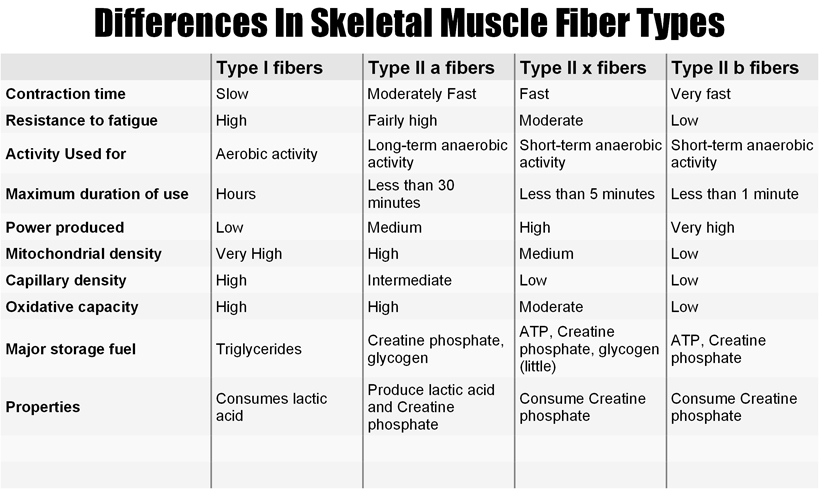 Muscle Relaxer Strength Chart