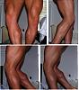 How well does your calves grow while on a cycle?-calf.jpg