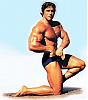 Would you rather be short and powerful or tall and strong??-arnold%252010.jpg