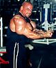 synthol users pls!!!!!!!!-211greg-27inch.jpg