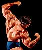 What's the physique you'd like to achieve??-smg152.jpg