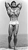 What's the physique you'd like to achieve??-sr1.jpg