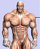 How To Inject-deltoid-lat1.jpg