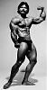 Bodybuilding Has Gone Bad.-corney662%5B1%5D.jpg