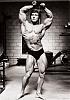 Bodybuilding Has Gone Bad.-frankzane2%5B1%5D.jpg