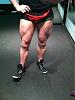 bigZ's official bulk classic log-image-508926057.jpg