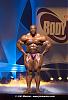 Ronnie will never loose-special_guest_ronnie_coleman.jpg