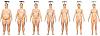 Tdee-body-fat-levels-women21.jpg