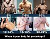 Body Fat %-fat-%25.jpg