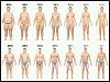 How accurate is bodyfat (digital scale)-fat.jpg