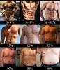 First Ketosis Log-body-fat-percentage-men.jpg