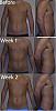 The 12 Week Transformation-progress.jpg