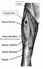 Lowering SHBG to Increase Free T -- Treatment Options?-injection-site.jpg