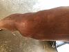 Strongly considering knee replacement wtf-97b8500e-1844-4371-9ff8-d7c15e6d8a89.jpg