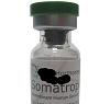 Anybody has use this type of Somatropin?-soma.jpg