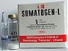 Somatogen - HGH by Lithuanian pharmacy Biofa-somatogen.jpg