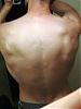 One month results...-day-33-lats.jpg