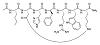 Melanotan II guide-melanotan_ii_chemical_structure.jpg