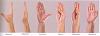 Pain in wrist circled area-thumb-movements-kls-edited.jpg