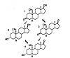 ANAVAR Cycle (for those interested)-mesterolone.jpg