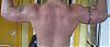 Beast's Workout Log-111006back.jpg