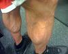 Calves 4 days out-untitled.-8jpg.jpg