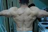 7 Week Bulk Cycle Upper Body Pics-dsc_0904.jpg