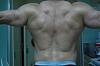 7 Week Bulk Cycle Upper Body Pics-dsc_0906.jpg