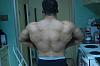 7 Week Bulk Cycle Upper Body Pics-dsc_0911.jpg