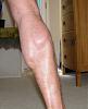 Thinking of doing a cycle...is this a good foundation?-crop-calve.jpg