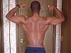 New - Comments/Suggestions-dbl-bicep-back.jpg