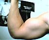 New here, tell me what you think-rbicep.jpg