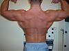Natural MIKE_XXL...right before my winter bulk up...-back.jpg