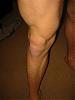 Legs?-img_0503-small-.jpg