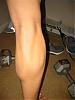 Legs?-img_0504-small-.jpg