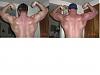 Progress pics, on the road to the 1st Florida BB championship-back-progress.jpg