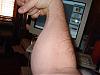 What can i do these skinny forearms-dsc01577.jpg