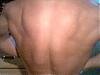 back pics..2 weeks out from vacation-picture-4.jpg