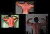 Winter Bulk is Over!!-backbulk2.jpg