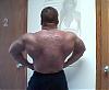 8 weeks after comp @ 240-724rearlat.jpg