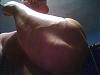 hows your forearms?-1117072317.jpg