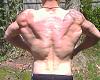 Back progress Feb 27th April 18th-untitled-1.jpg