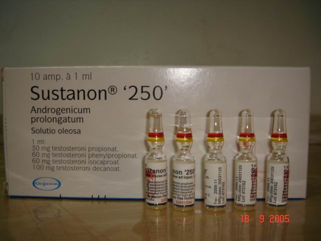 55661d1127077061-i-need-help-about-sustanon-picture-004.jpg