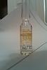 How does this Organon Sust look?-imag0020.jpg