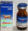 Legit PIcture of Testosterone Propionate by Brovel.  Mexican Brand-testosteronepropinate10cc.jpg