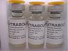 extraboline - nandrolone-picture-023.jpg