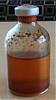 Home-made Fina settling/murky-bottle-2-upright.jpg