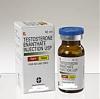 Anyone Used This Test Or Even This Brand?-testosterone_enanthate1515648564.jpg